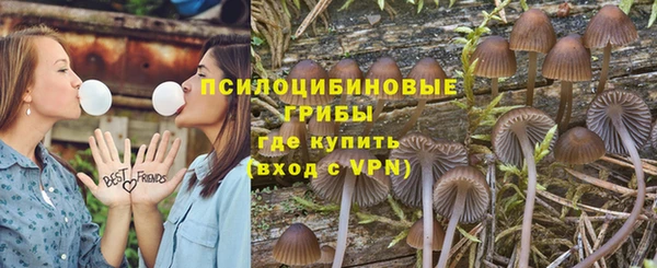 ГАЛЛЮЦИНОГЕННЫЕ ГРИБЫ Алзамай