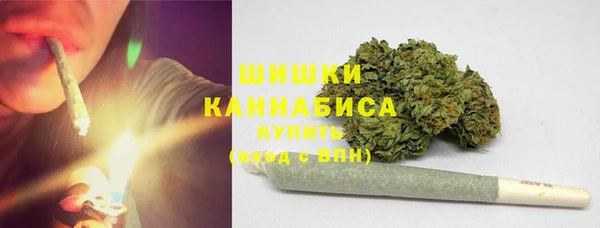 ГАЛЛЮЦИНОГЕННЫЕ ГРИБЫ Алзамай
