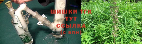 прущие грибы Алексин