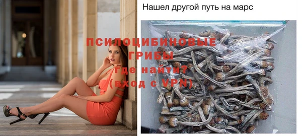 прущие грибы Алексин