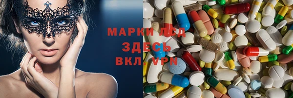 прущие грибы Алексин