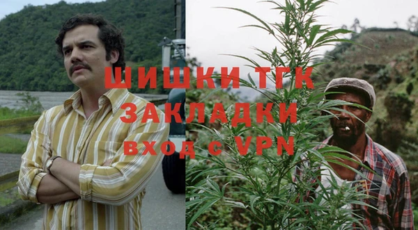 ГАЛЛЮЦИНОГЕННЫЕ ГРИБЫ Алзамай