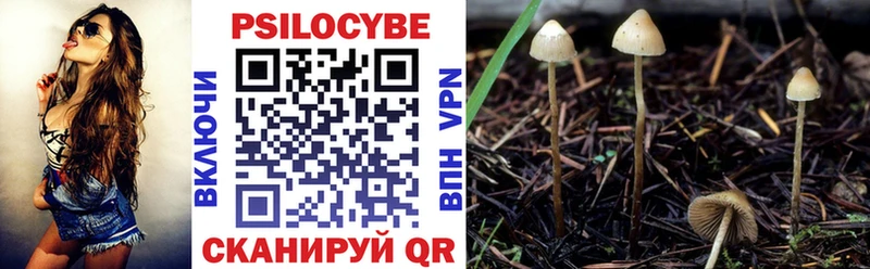 Псилоцибиновые грибы Cubensis Хотьково