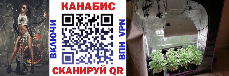 дарнет шоп  Хотьково  darknet как зайти  Бошки Шишки планчик 